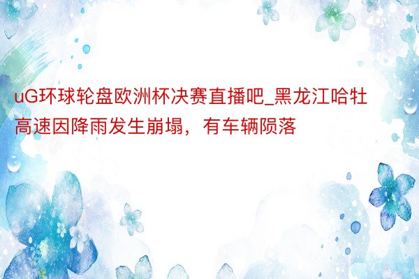 uG环球轮盘欧洲杯决赛直播吧_黑龙江哈牡高速因降雨发生崩塌，有车辆陨落