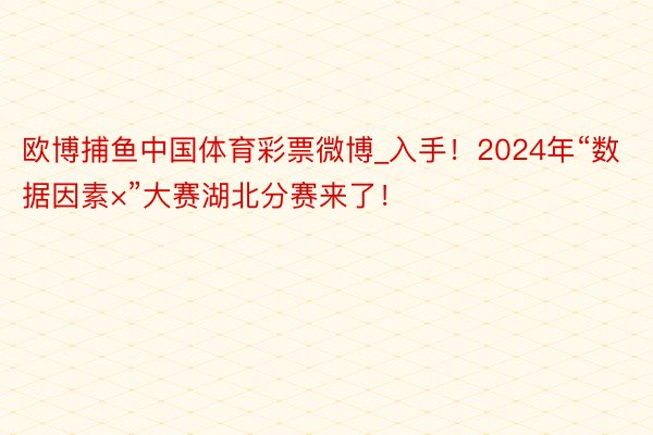 欧博捕鱼中国体育彩票微博_入手！2024年“数据因素×”大赛